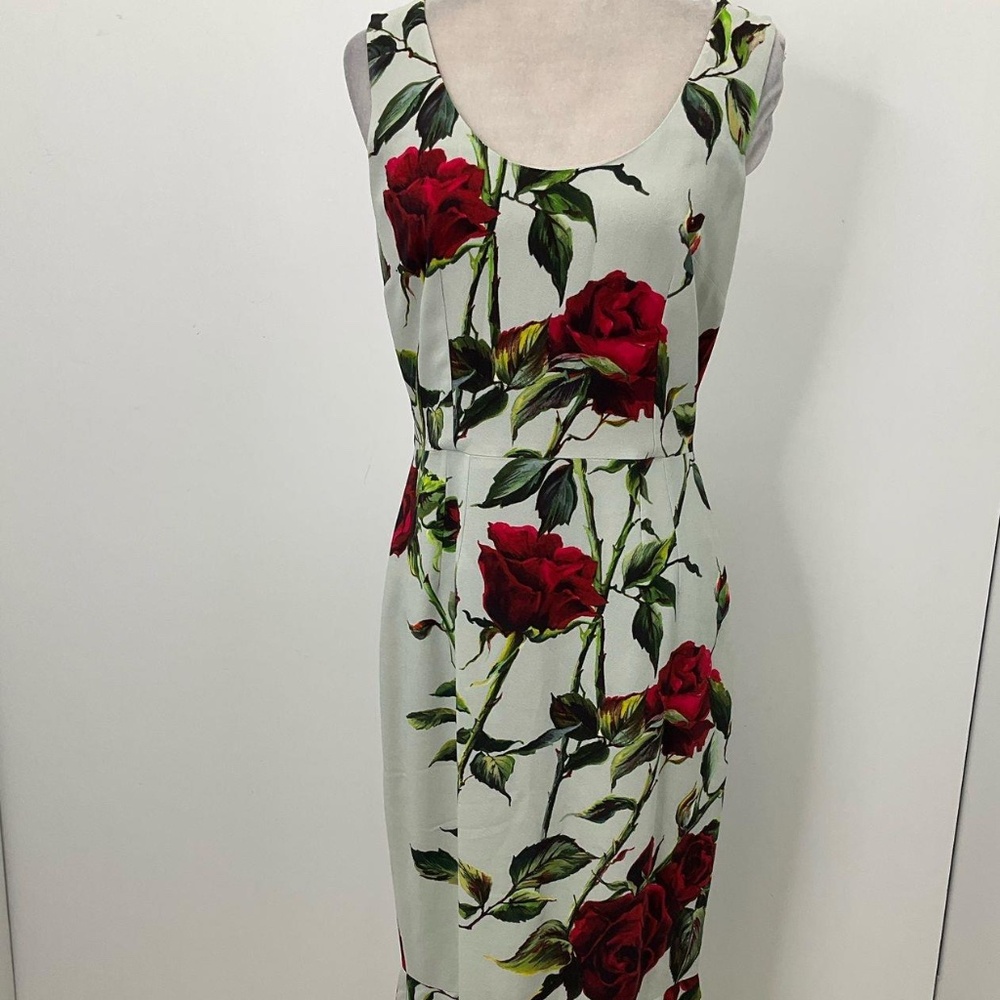 NWT Dolce & Gabbana Dress Mint Green and Red Roses